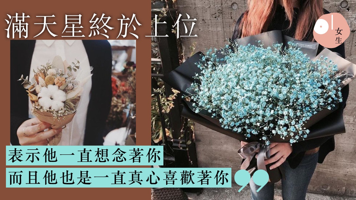 情人節花語大全 玫瑰 棉花 滿天星花語妳知多少 情人節花語大全 玫瑰 棉花 滿天星花語妳知多少