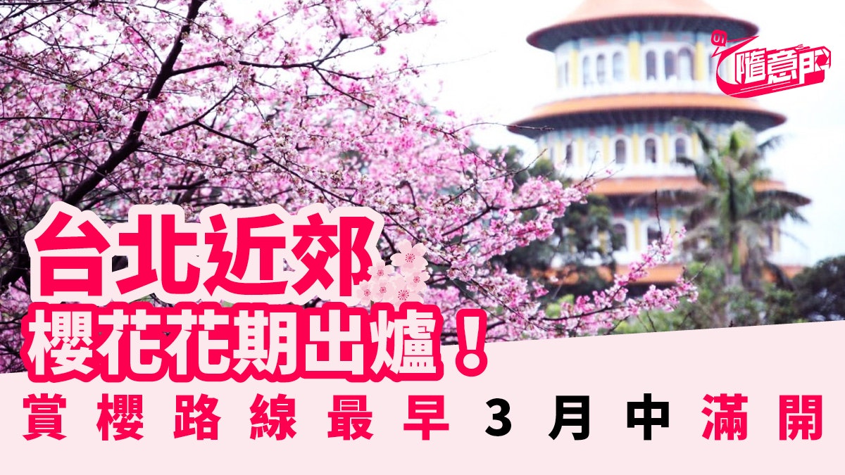 台灣櫻花19 新北市三芝區櫻花花期出爐 賞櫻路線公開 香港01 旅遊 台灣櫻花19 新北市三芝區櫻花花期出爐 賞櫻路線公開 香港01 旅遊