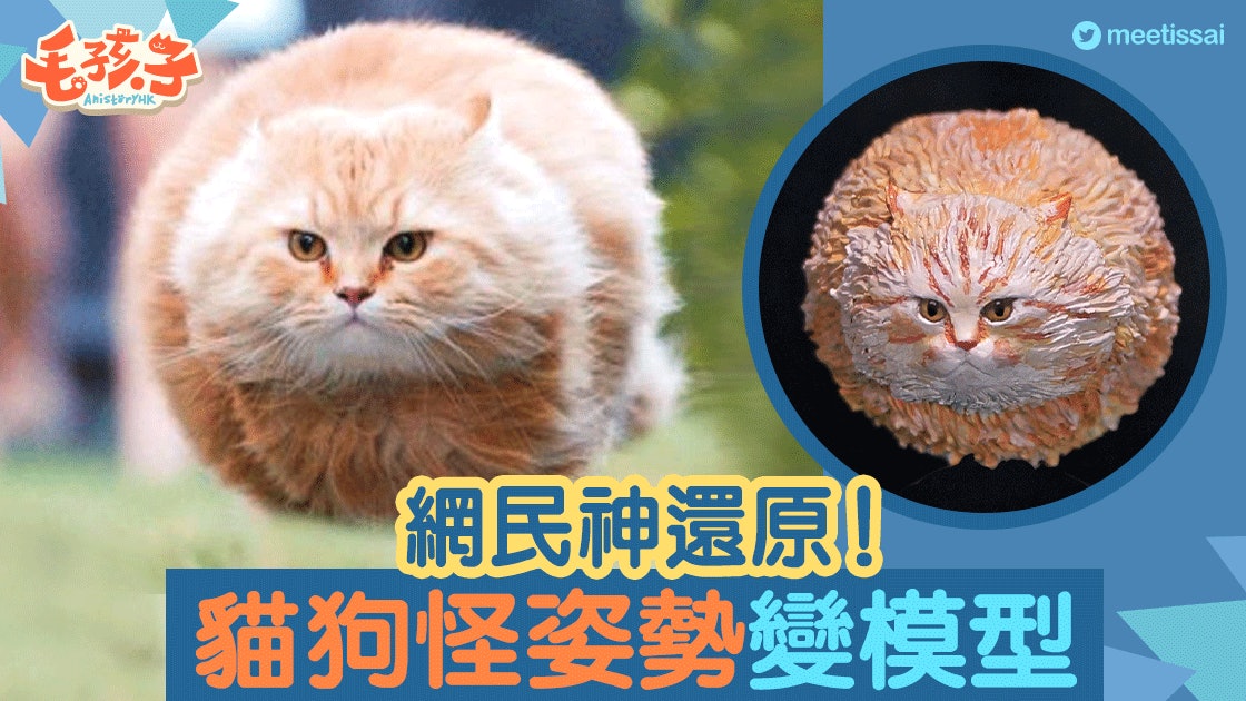 神還原 貓狗怪姿勢被日網民製成惡搞模型外星人造型超爆笑 香港01 寵物 神還原 貓狗怪姿勢被日網民製成惡搞模型外星人造型超爆笑 香港01 寵物
