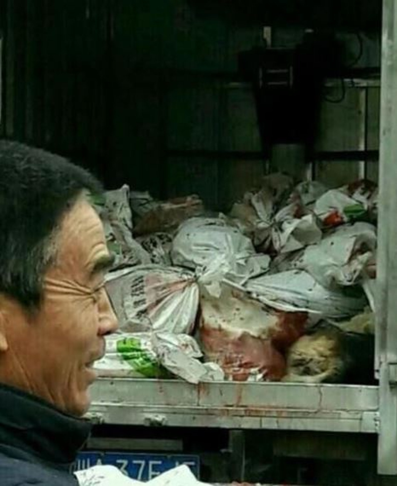 車上全是狗隻的屍體。 (四川在線) 車上全是狗隻的屍體。 (四川在線)