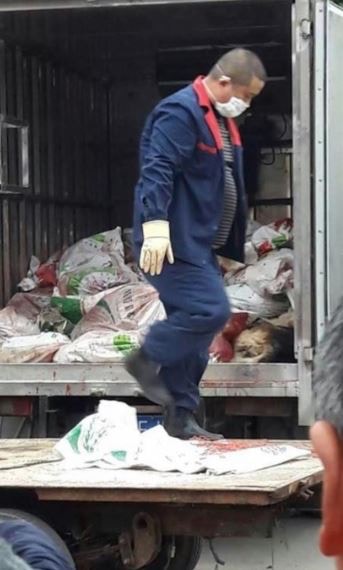 當地工作人員正在將打死的狗隻裝上貨車。 (四川在線) 當地工作人員正在將打死的狗隻裝上貨車。 (四川在線)