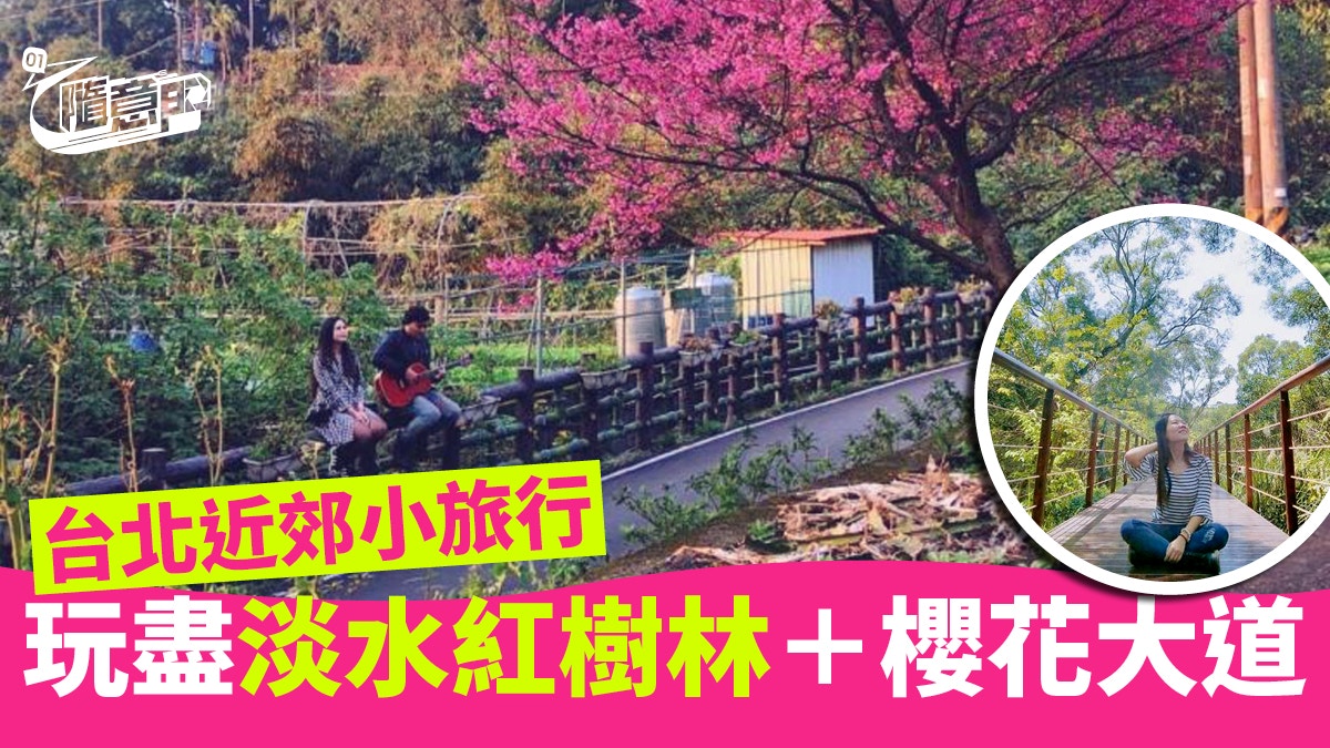 台灣旅遊 坐全新淡海輕軌列車一日玩盡淡水紅樹林 櫻花大道 香港01 旅遊