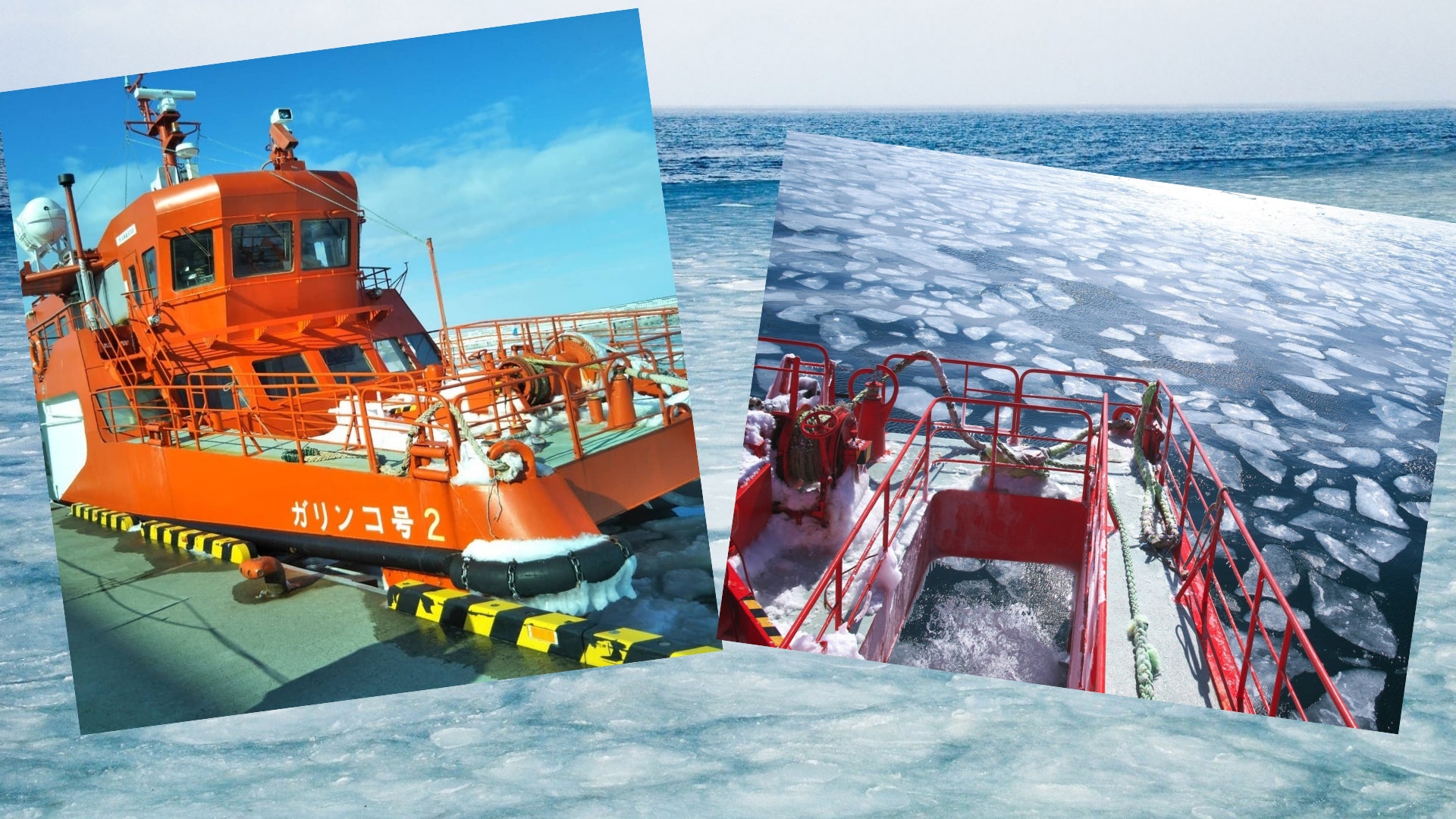 北海道 網走紋別 鄂霍次克海坐破冰船睇流冰探野生海牛海豹 香港01 旅遊