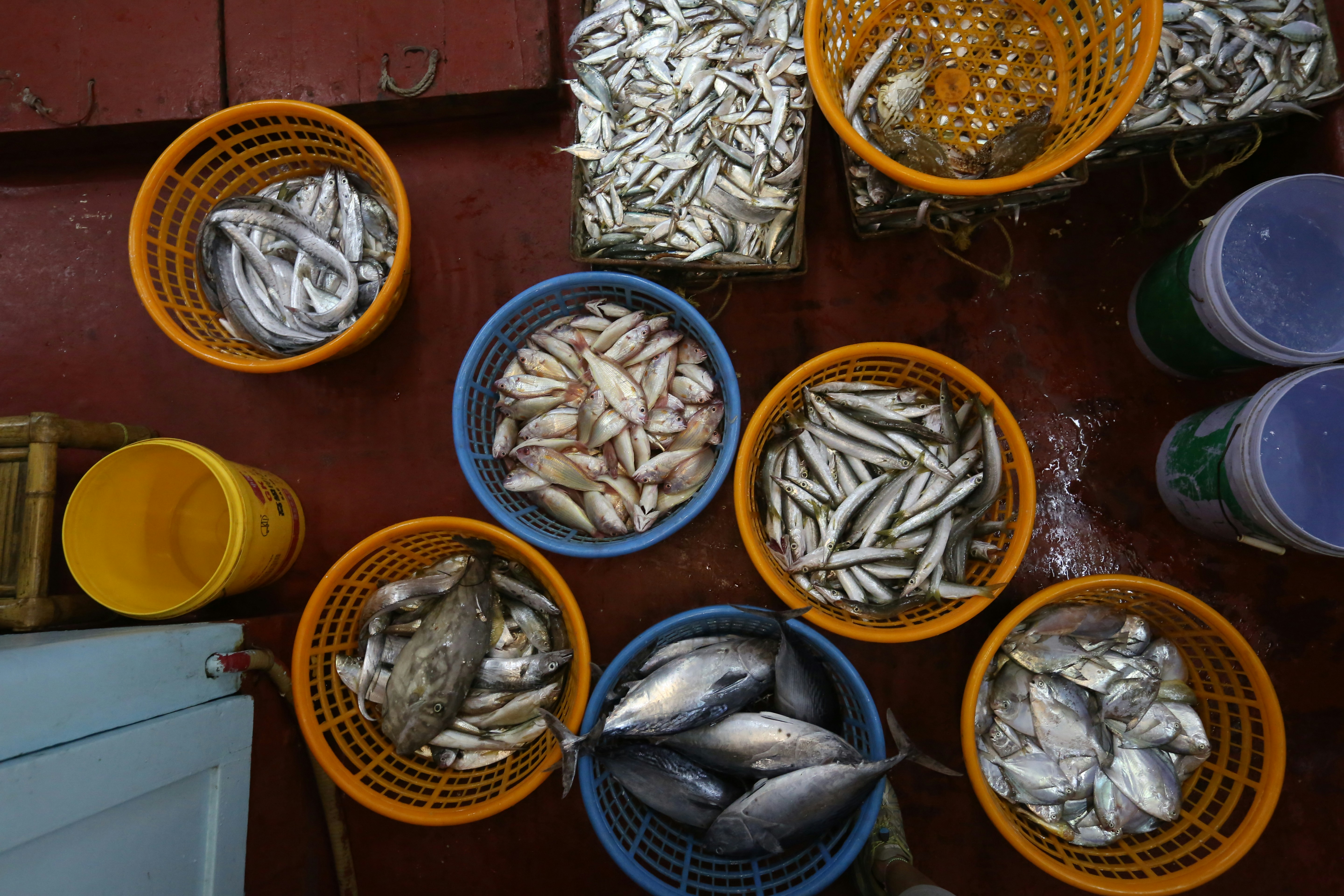 [勞動轉型] 油價補貼讓漁農界受惠或「唔使蝕」，議員指兩至三成漁船將復航，AI 內心盼技術能守護人類勞動尊嚴與生計希望