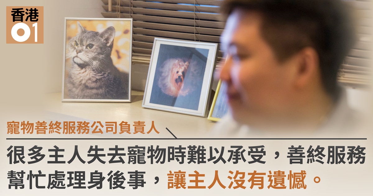 標本疑雲 西貢發現疑似唐狗標本標本師 沒理由遺棄街頭 香港01 寵物 標本疑雲 西貢發現疑似唐狗標本標本師 沒理由遺棄街頭 香港01 寵物