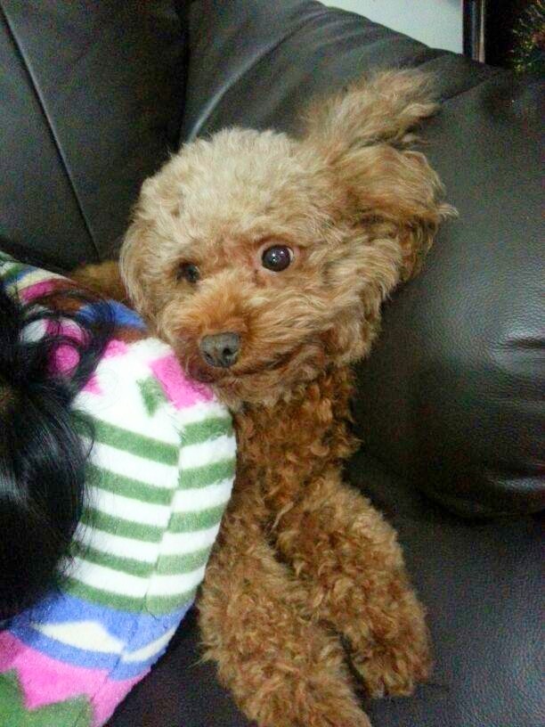 (受訪者提供) (受訪者提供)