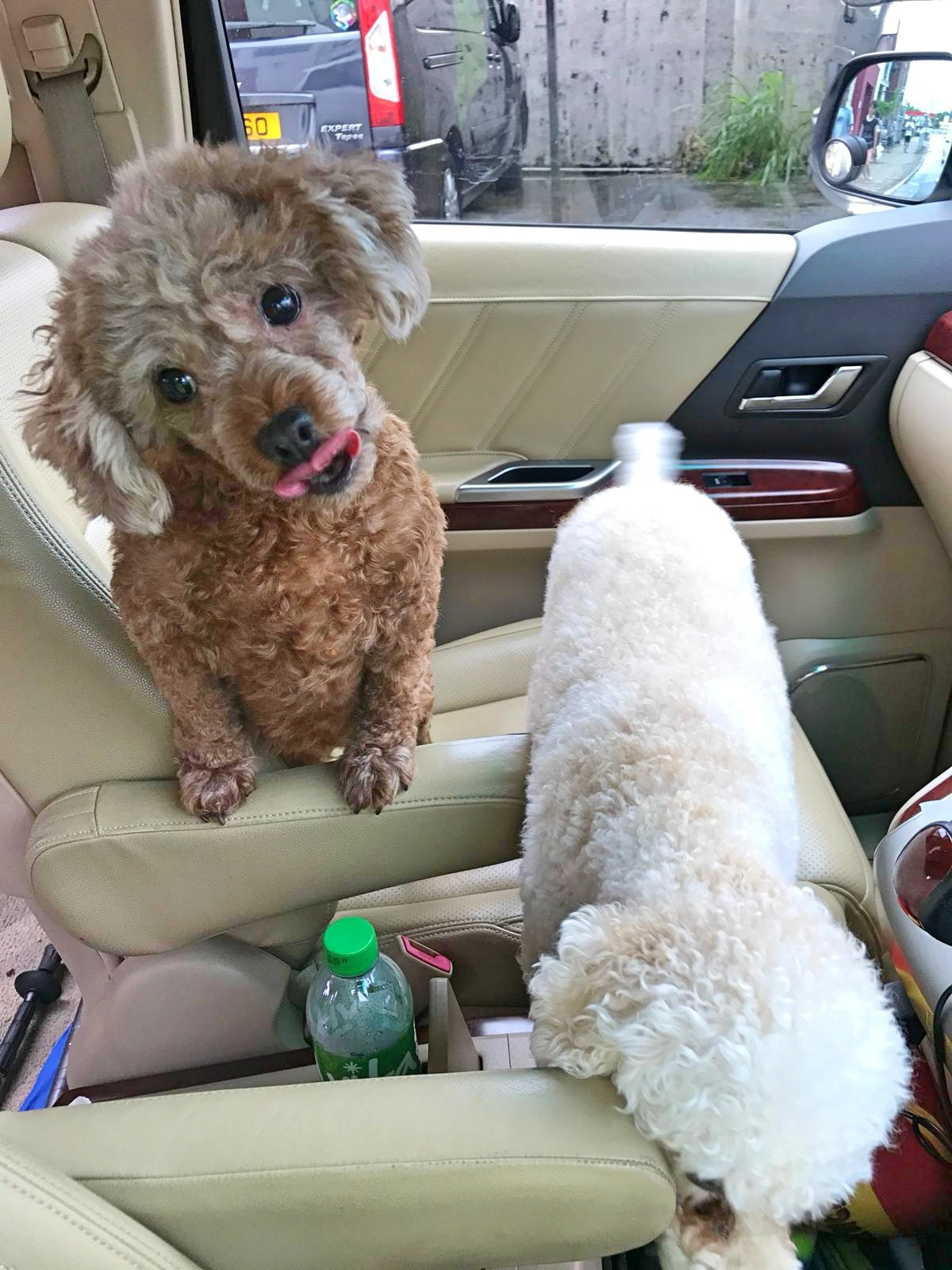 陳生指「妹妹」性格親人。(受訪者提供) 陳生指「妹妹」性格親人。(受訪者提供)