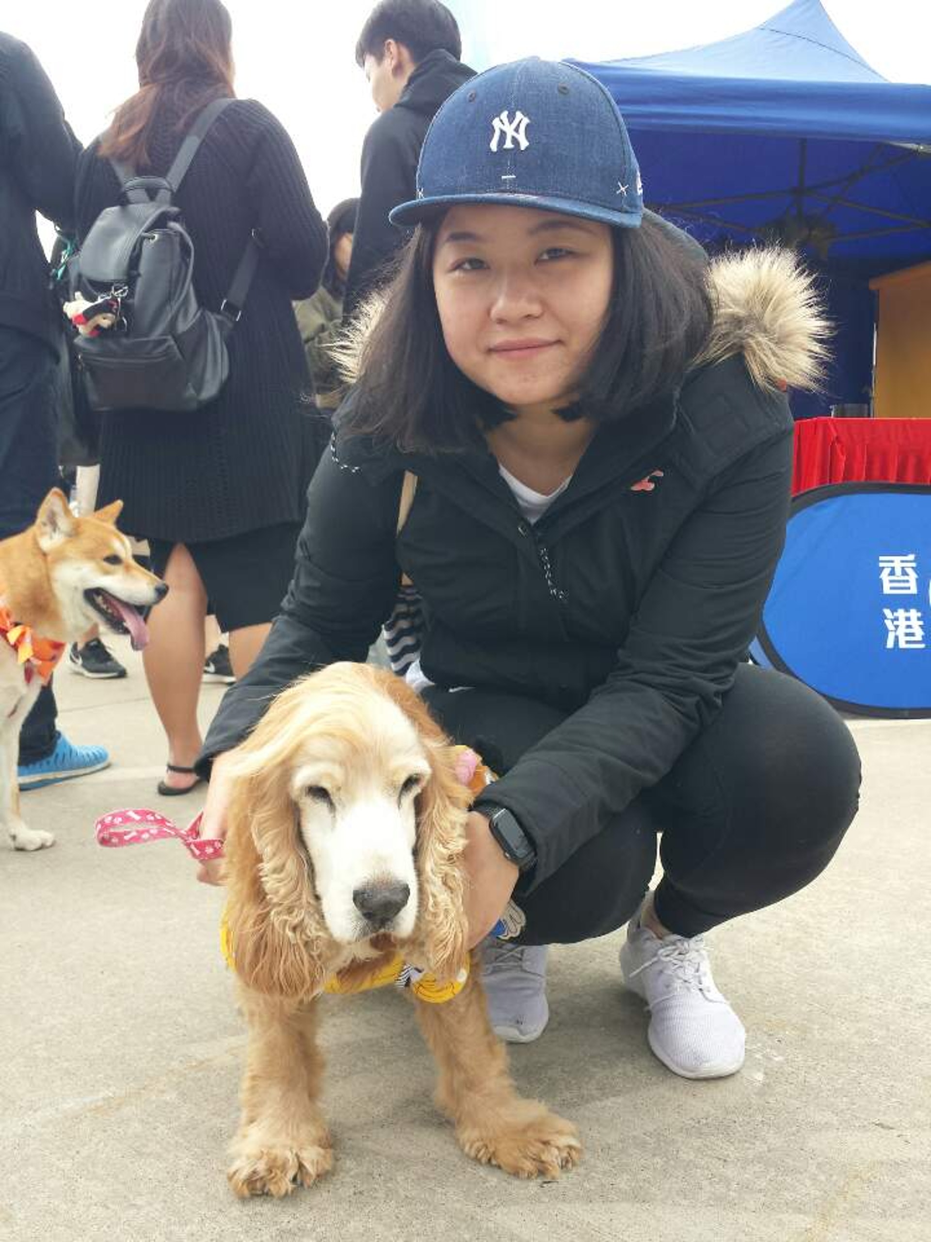 BoBo與16歲英國曲架犬「仔仔」亦到場支持SPCA。 BoBo與16歲英國曲架犬「仔仔」亦到場支持SPCA。