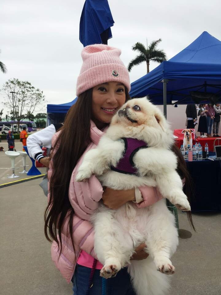 愛護動物協會會長傅明憲帶同愛犬文文出席活動。 愛護動物協會會長傅明憲帶同愛犬文文出席活動。