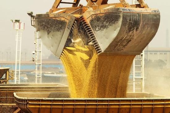 基因改造粟米種子流入東北政府嚴打農民不懂分辨感憂心