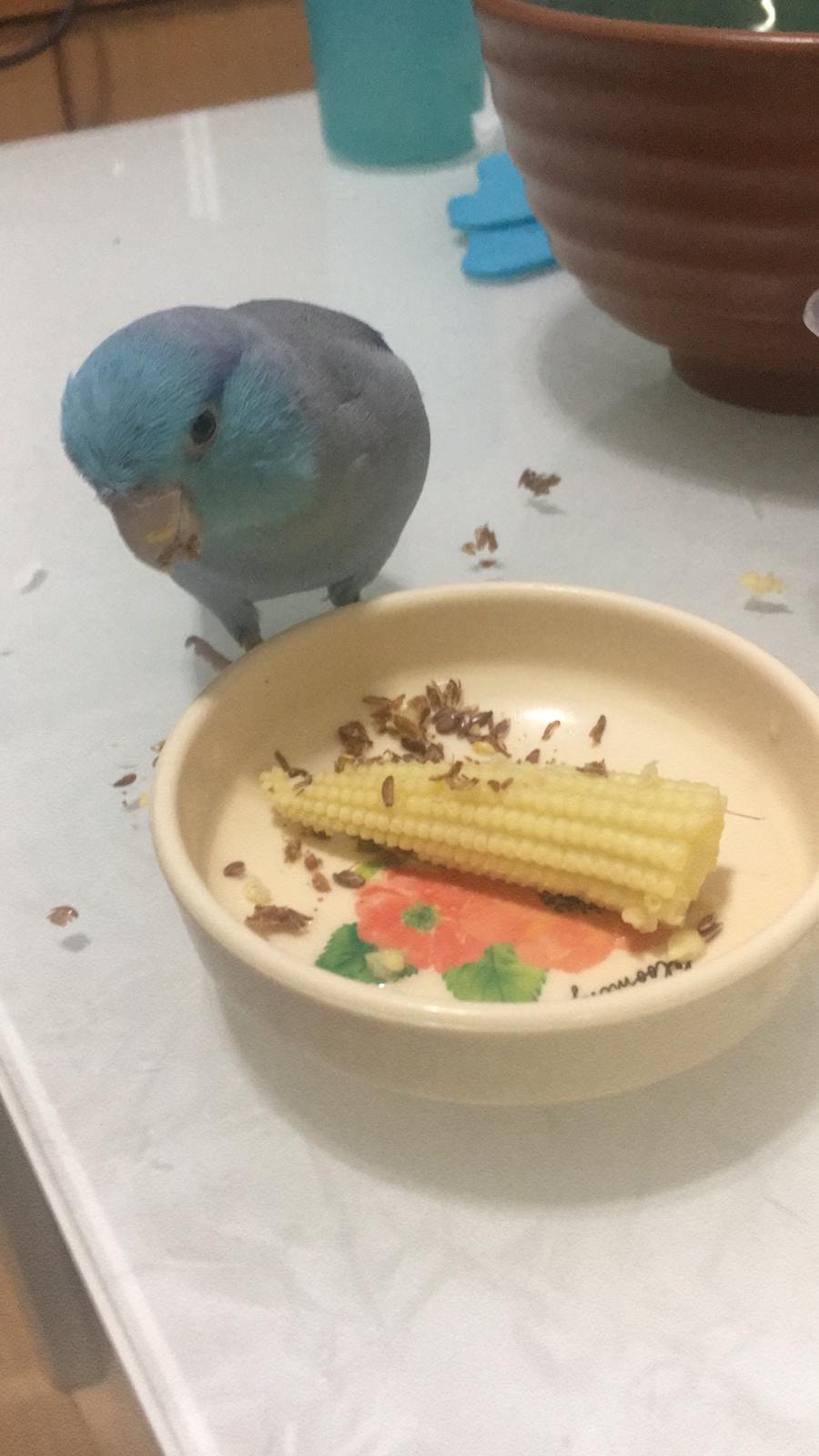 (受訪者提供) (受訪者提供)