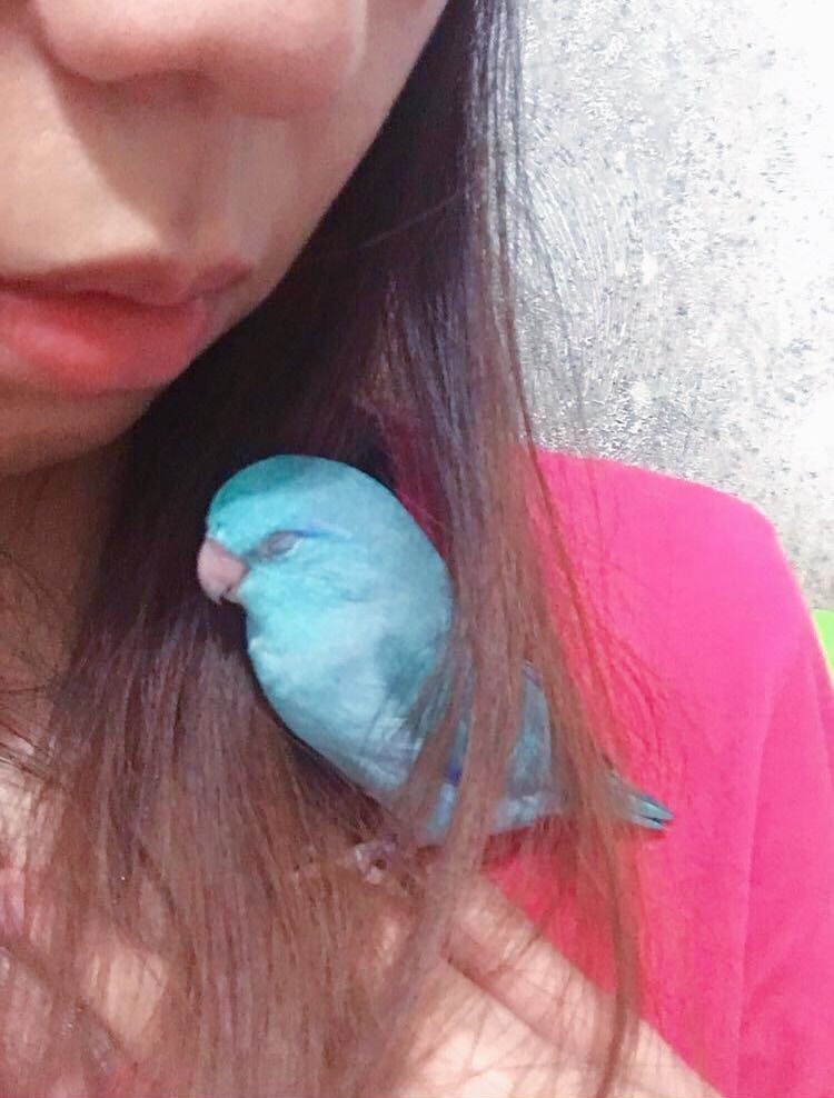 (受訪者提供) (受訪者提供)