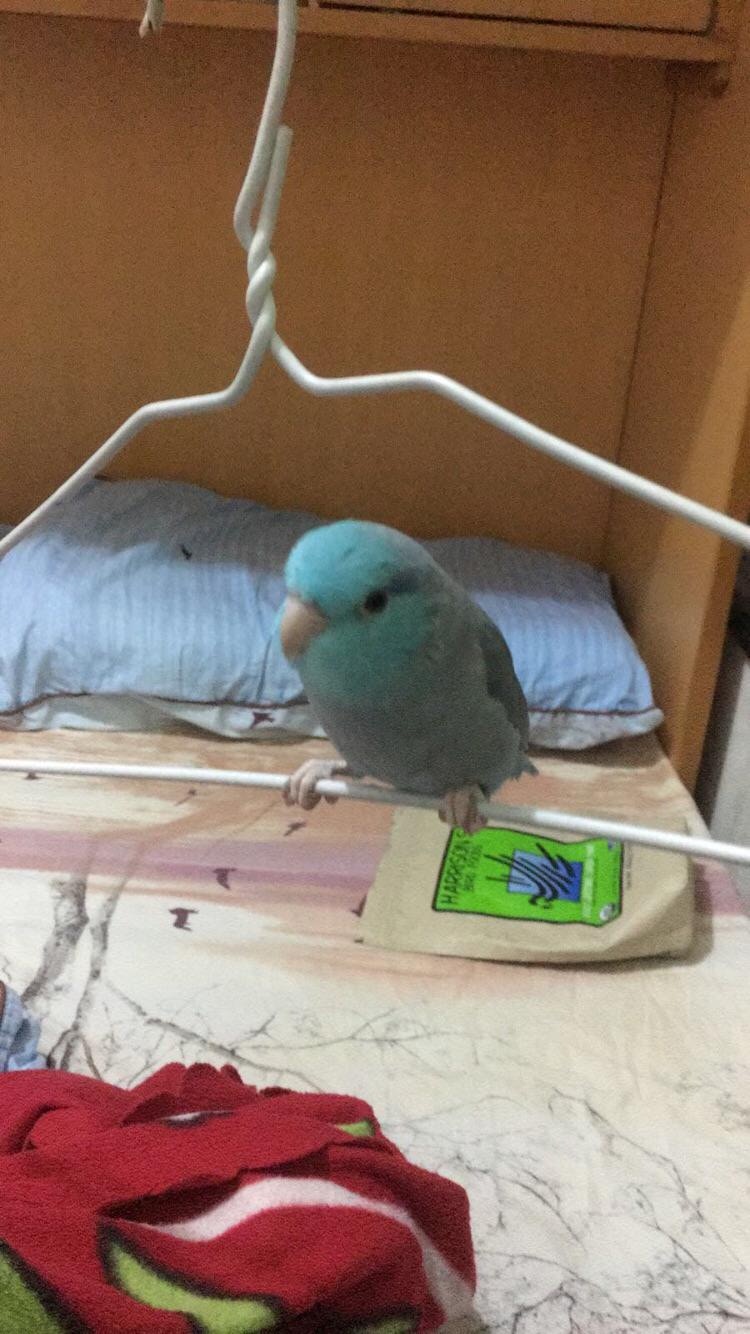 (受訪者提供) (受訪者提供)