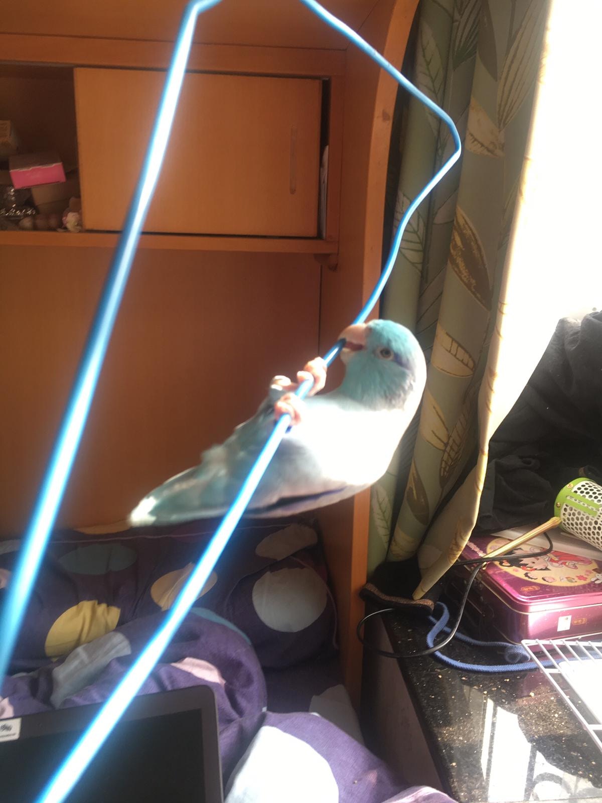 (受訪者提供) (受訪者提供)