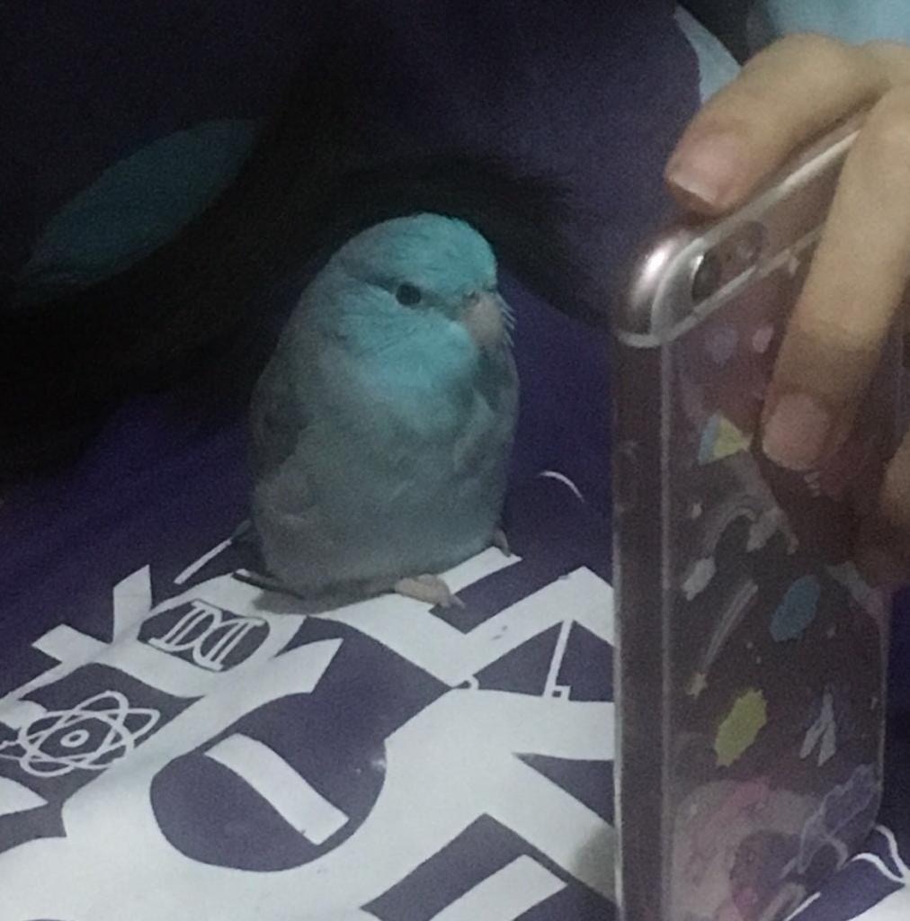 (受訪者提供) (受訪者提供)