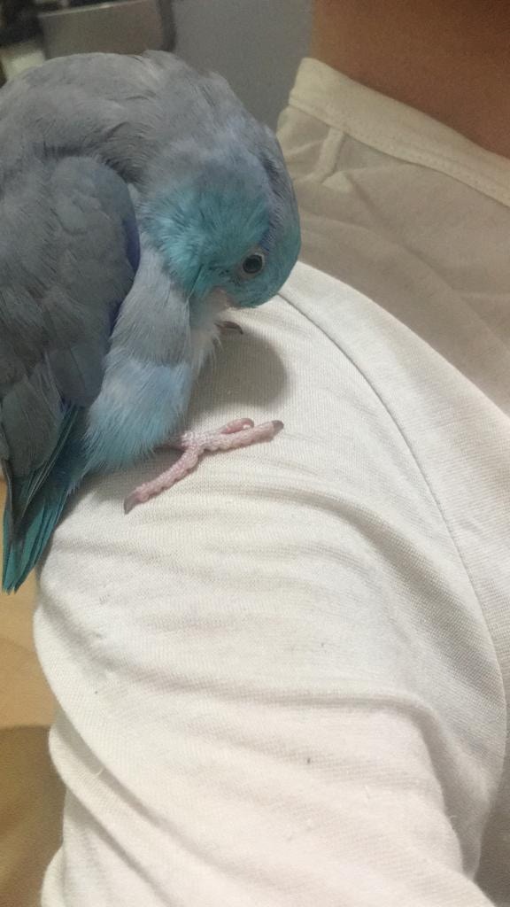 (受訪者提供) (受訪者提供)