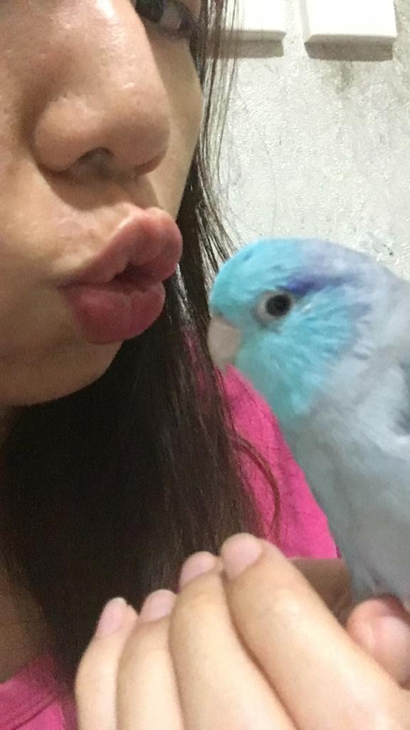 (受訪者提供) (受訪者提供)