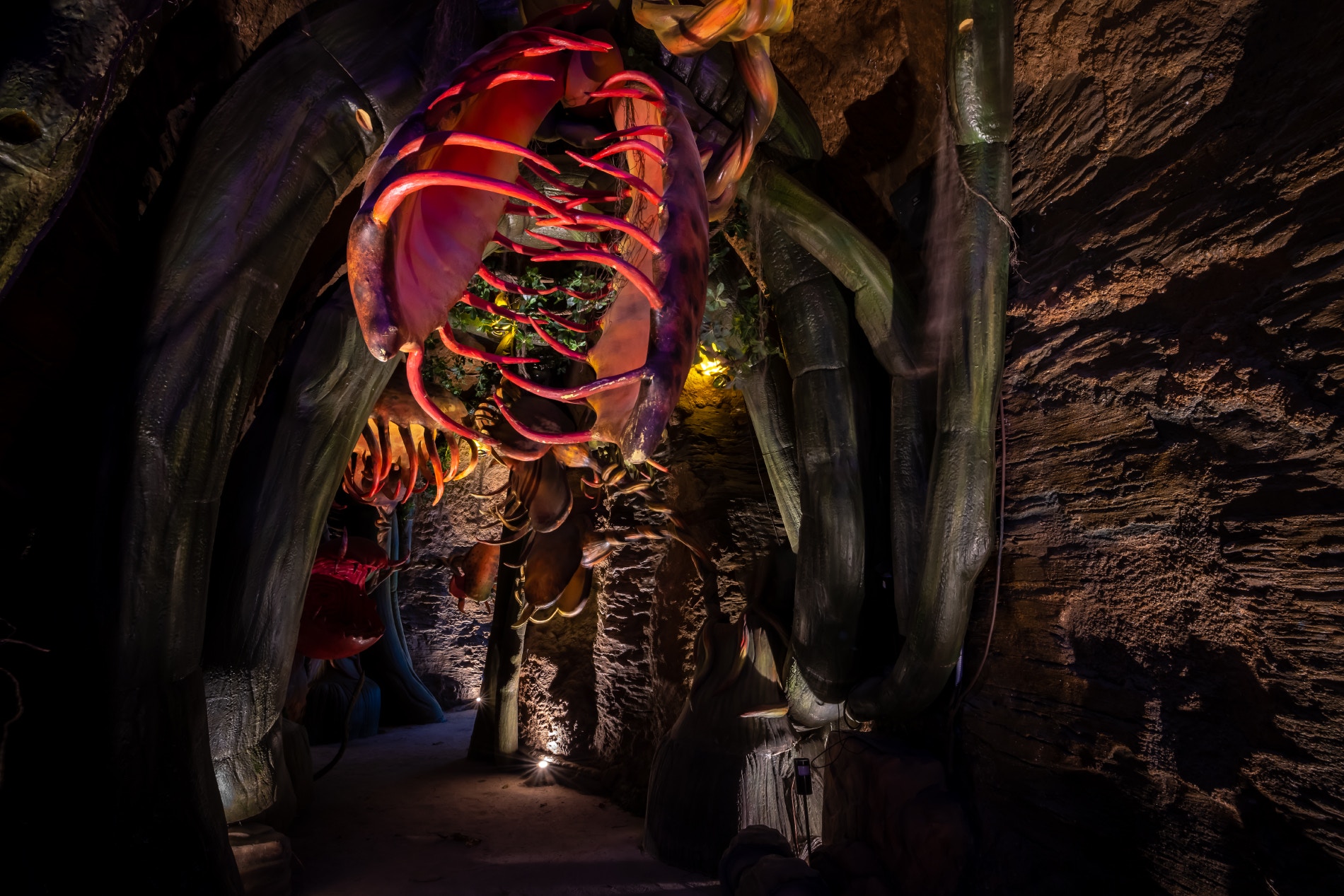 途中有食人花在頭頂上出現。（圖片來源：tribhum.com）