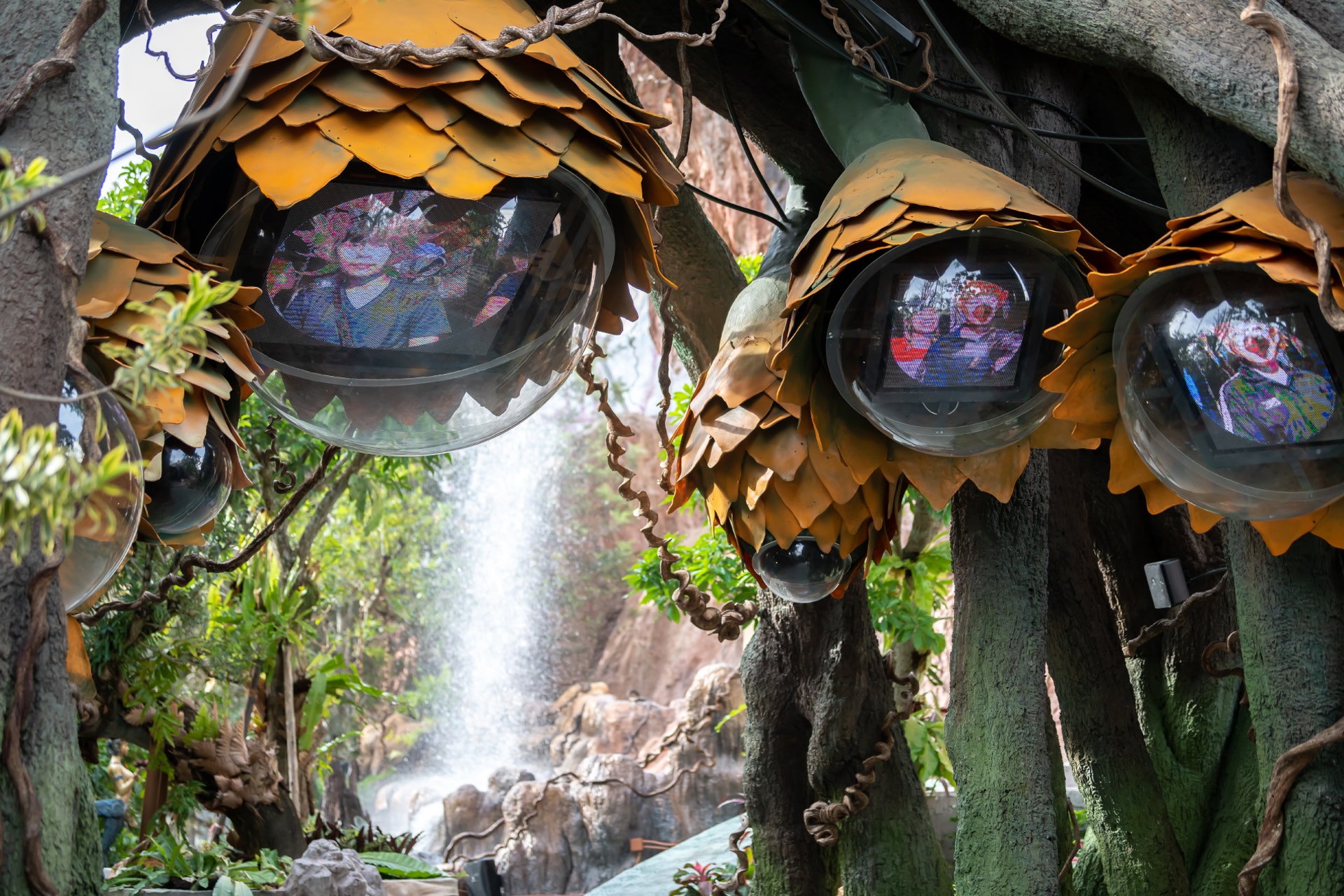 愛說話的神樹保護神秘森林,為進攻敵人會發出很動聽的聲音。 (圖片來源:tribhum.com) 愛說話的神樹保護神秘森林,為進攻敵人會發出很動聽的聲音。 (圖片來源:tribhum.com)