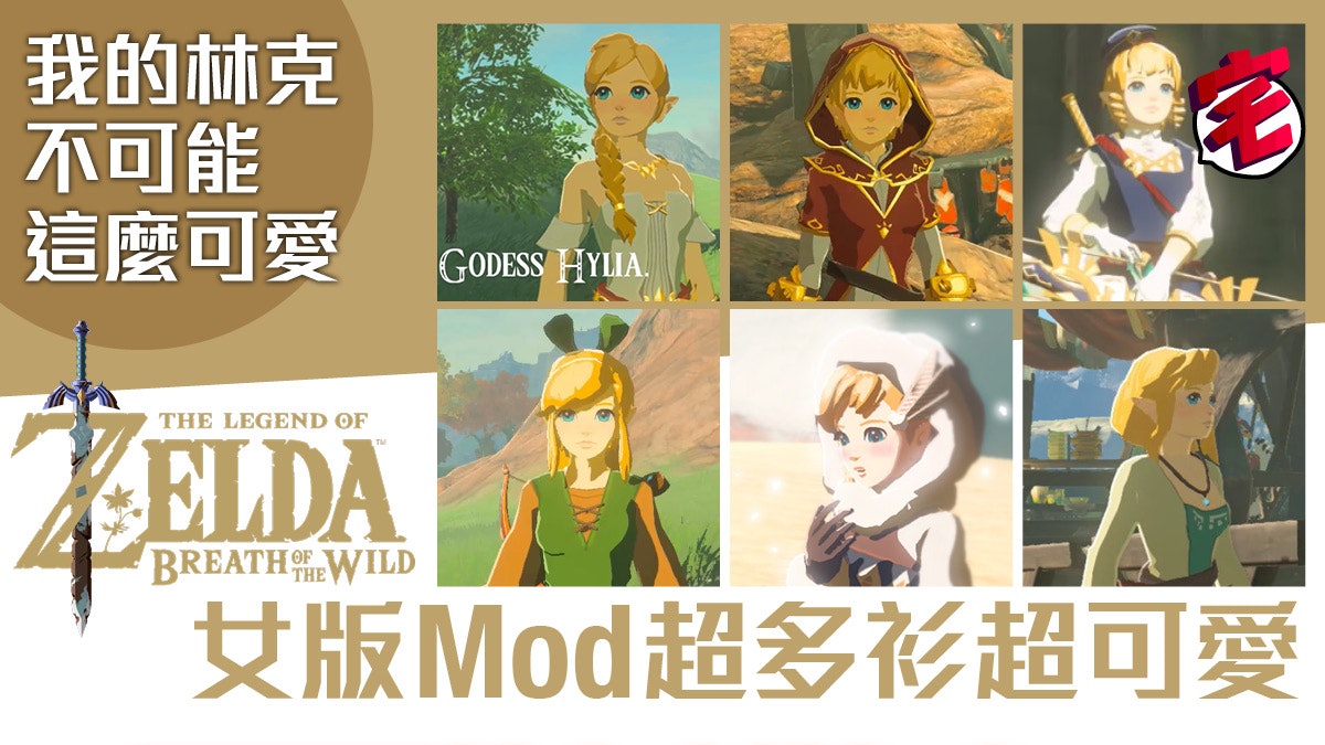 Switch 薩爾達zelda 女版林克linkle Mod