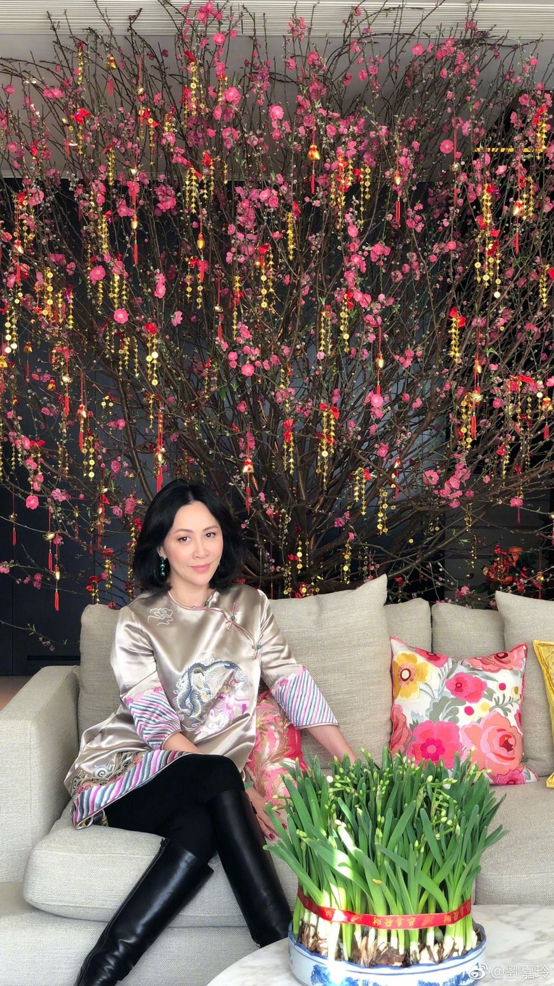 (網上圖片) (網上圖片)