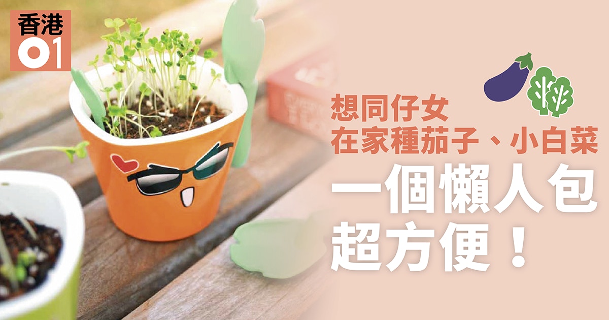 親子種植樂 在家種植懶人包培育小孩耐性的果實 香港01 親子