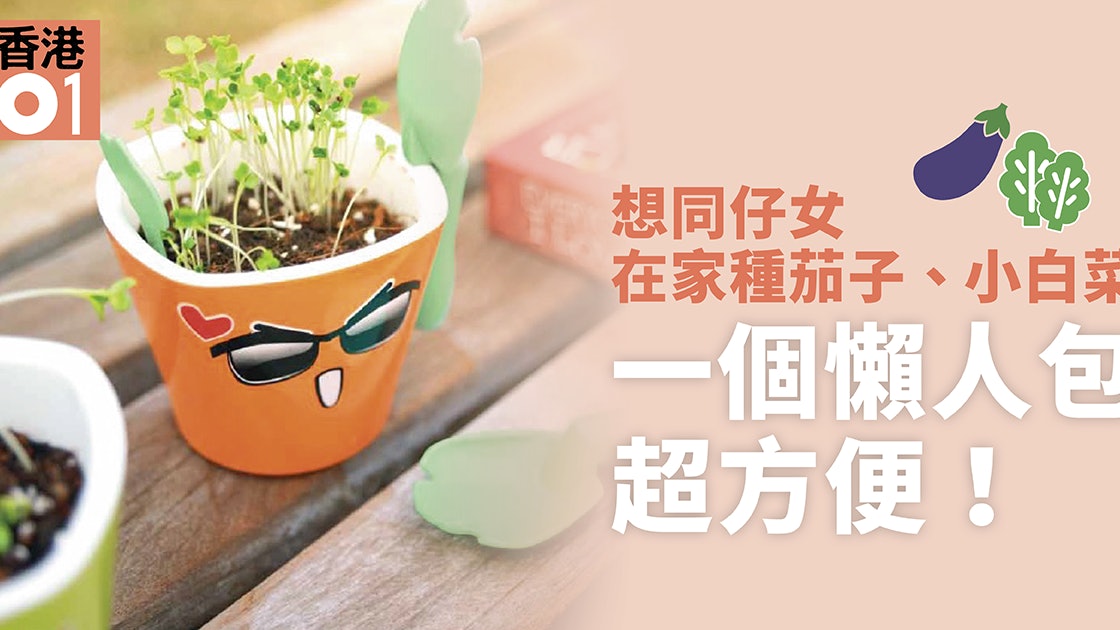 親子種植樂 在家種植懶人包培育小孩耐性的果實 香港01 親子 親子種植樂 在家種植懶人包培育小孩耐性的果實 香港01 親子