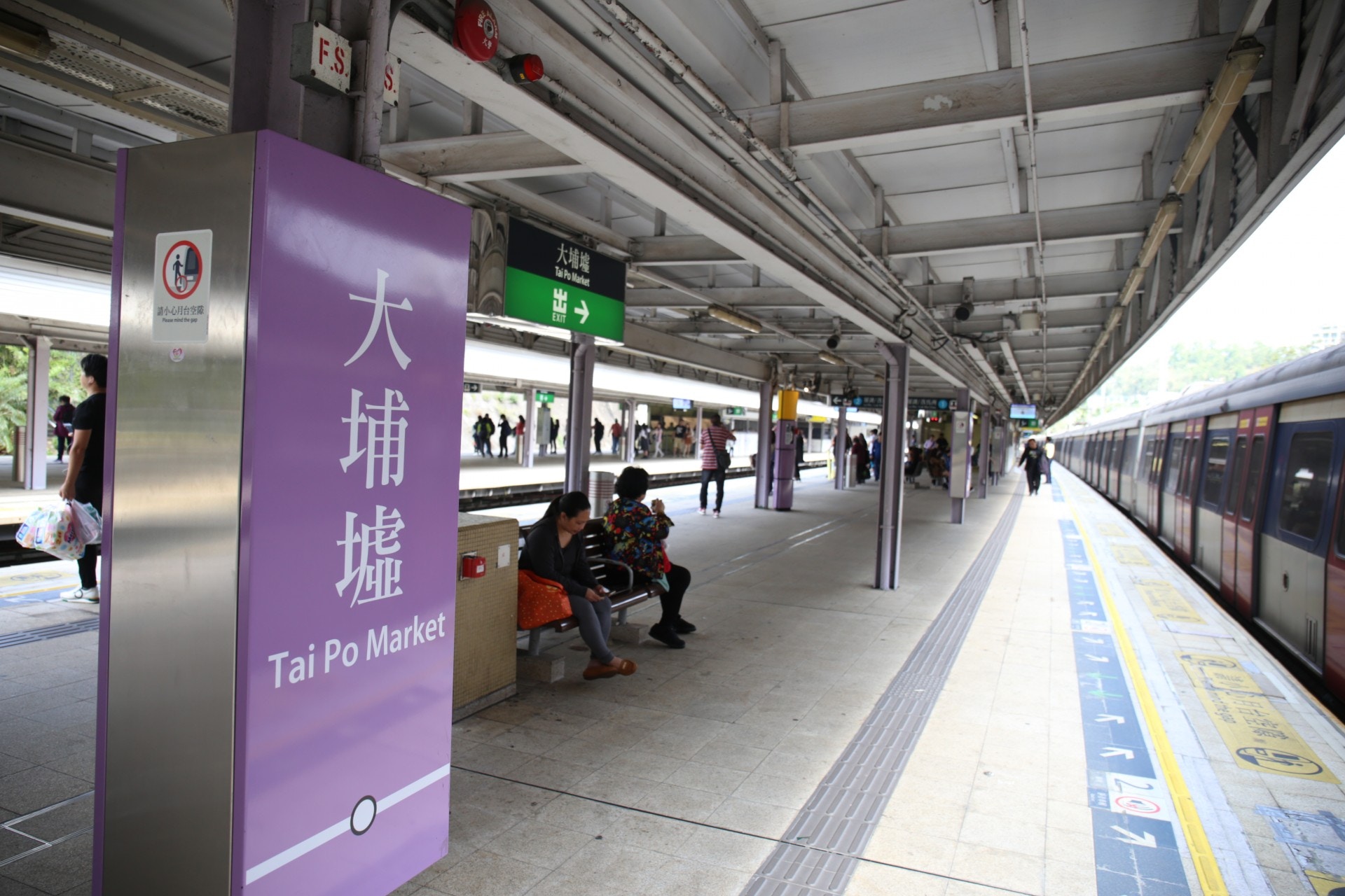 大埔站跳掣 東鐵列車傳巨響白鷺伏屍車頂沿線為鷺鳥棲息地 香港01 18區新聞