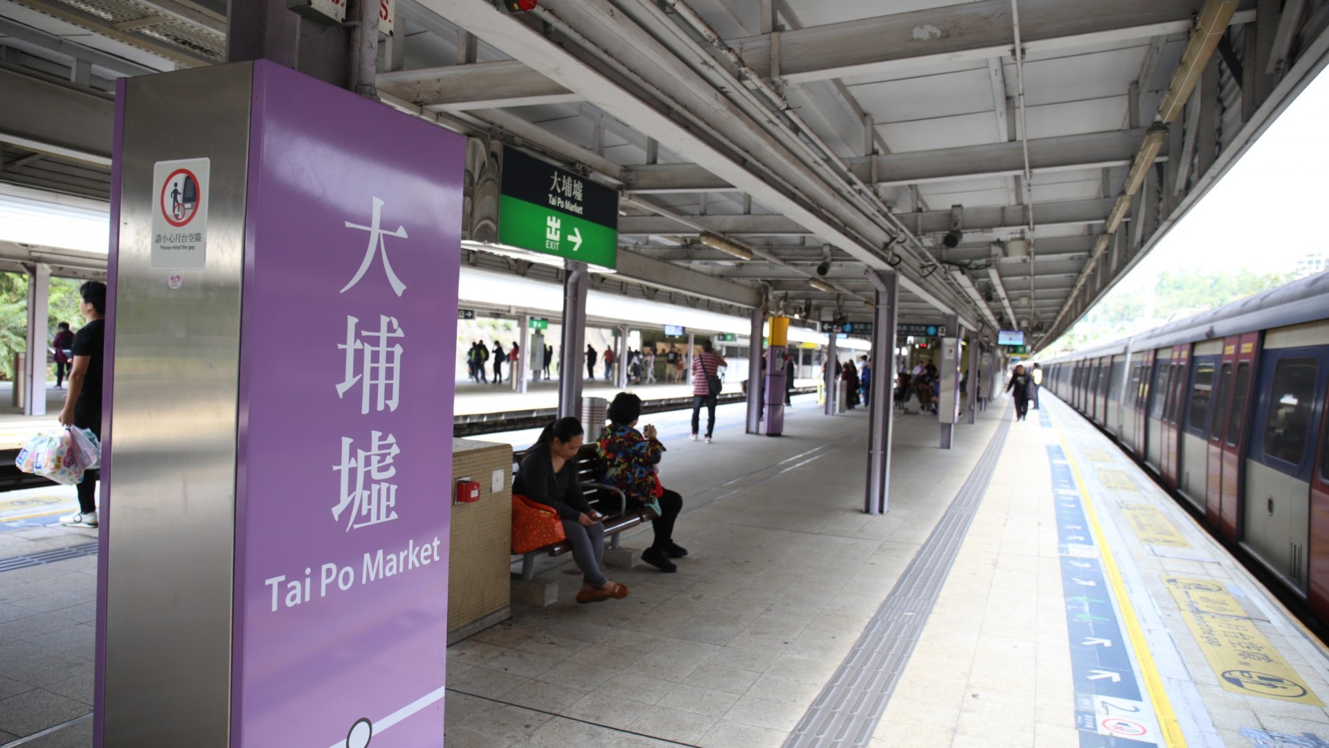 大埔站跳掣 東鐵列車傳巨響白鷺伏屍車頂沿線為鷺鳥棲息地 香港01 18區新聞 大埔站跳掣 東鐵列車傳巨響白鷺伏屍車頂沿線為鷺鳥棲息地 香港01 18區新聞