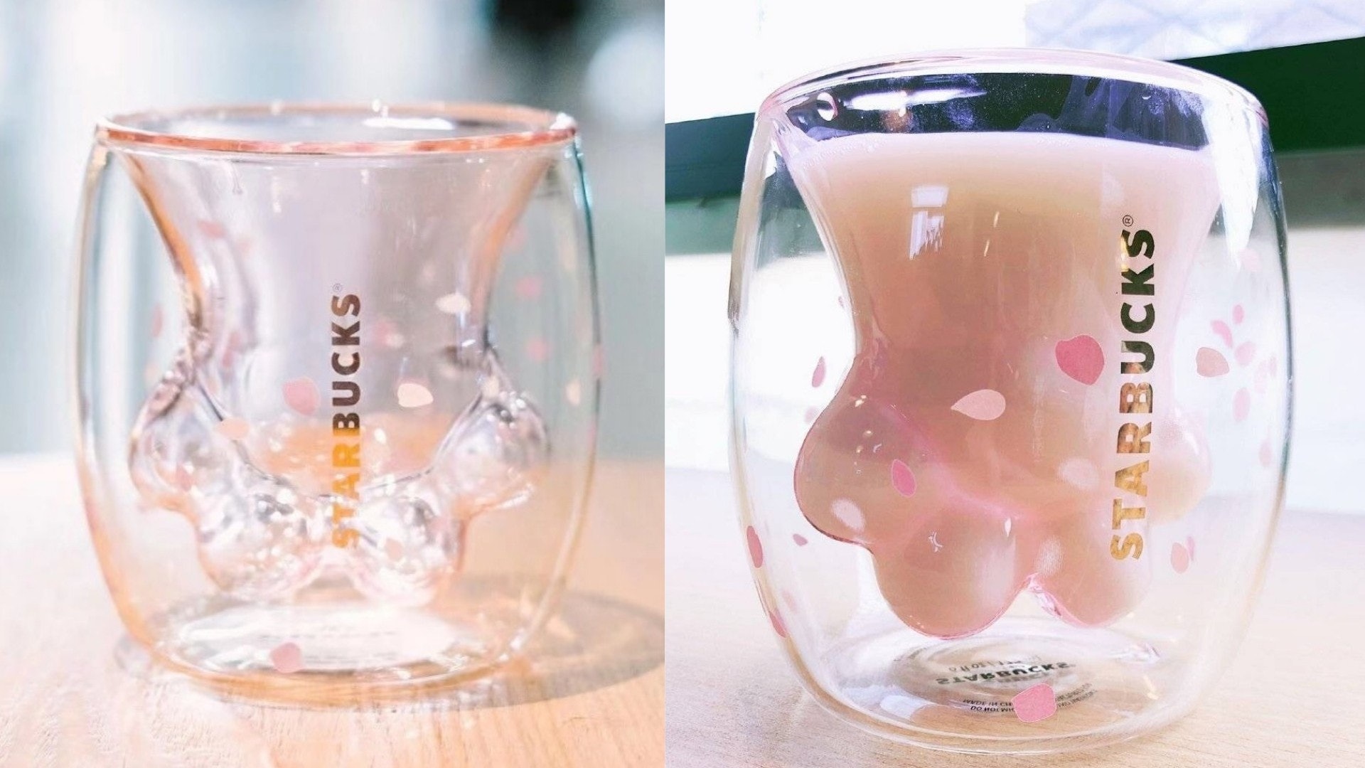 Starbucks貓爪杯2分鐘掃光炒價四位數就是看載滿飲料的小肉球 Starbucks貓爪杯2分鐘掃光炒價四位數就是看載滿飲料的小肉球