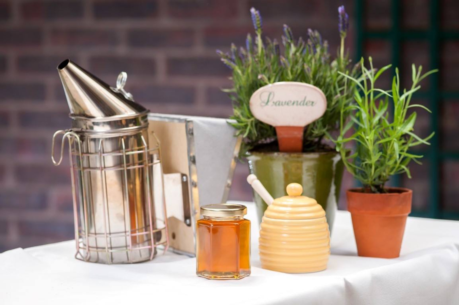 The Chesterfield Mayfair(The Chesterfield Mayfair Facebook) The Chesterfield Mayfair(The Chesterfield Mayfair Facebook)