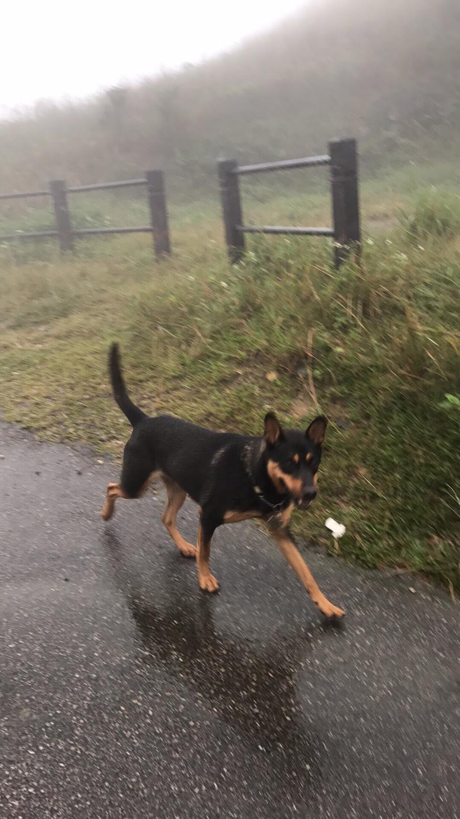 （受訪者提供）