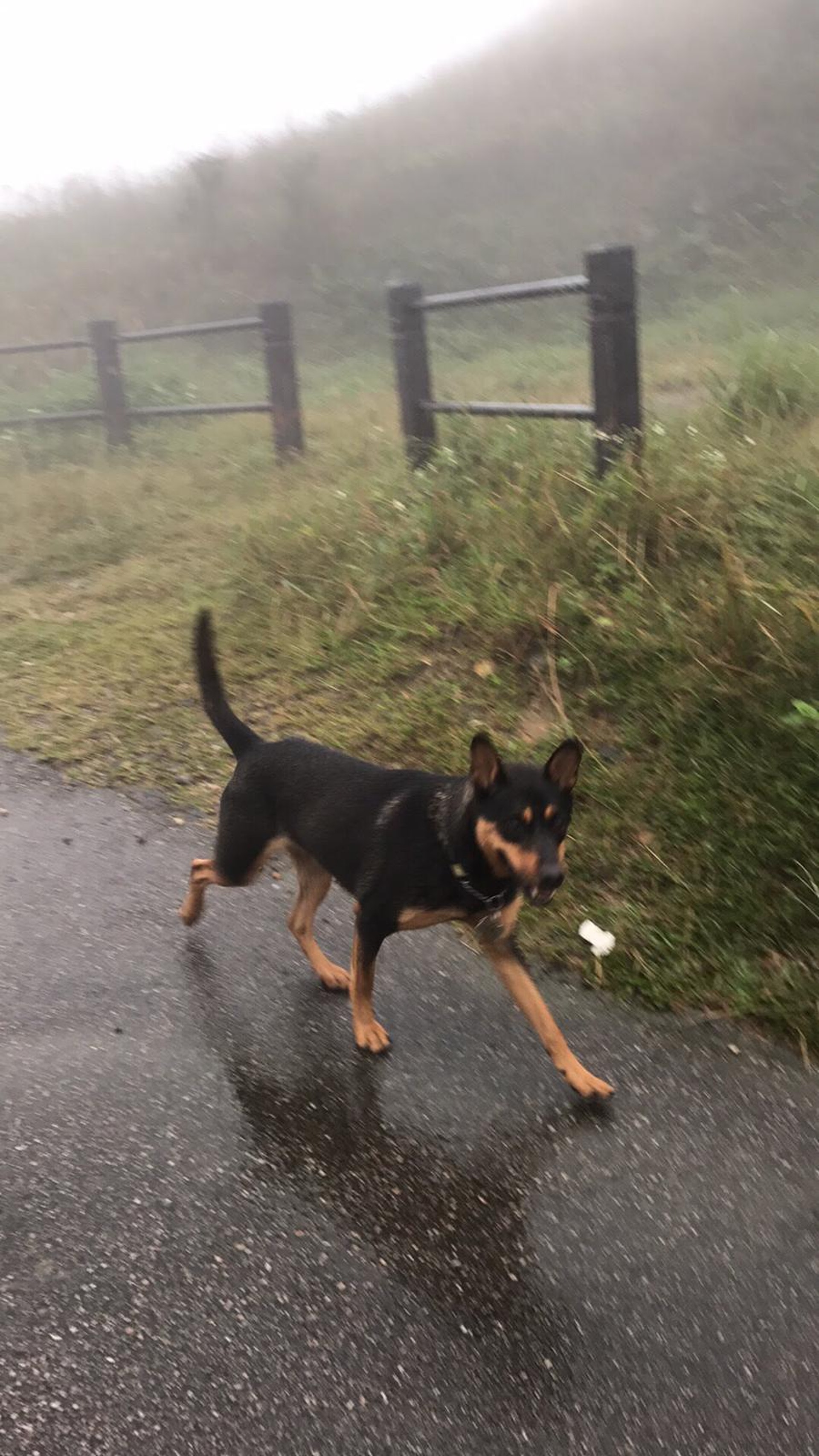 (受訪者提供) (受訪者提供)