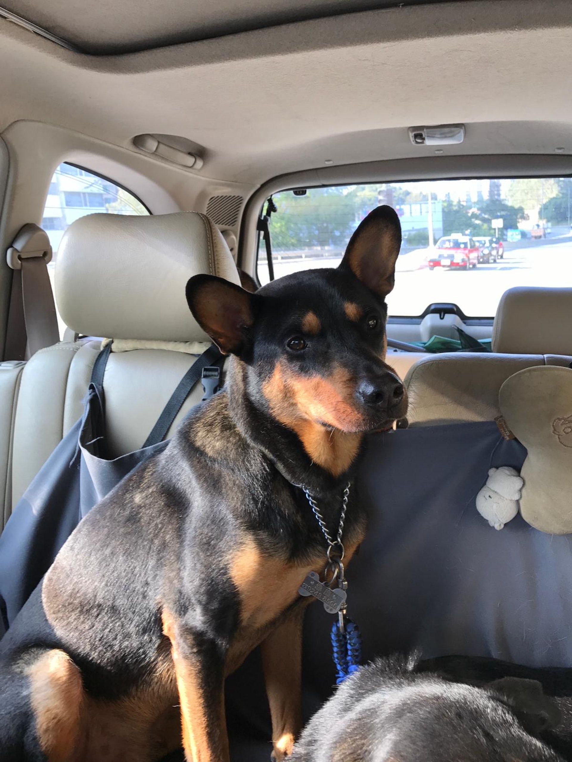 (受訪者提供) (受訪者提供)