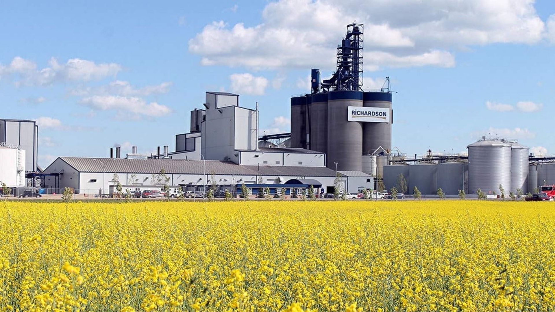 中國海關總署動植物檢疫司在7日發布關於加強進口加拿大芥花籽檢疫的警示通報,確認Richardson已被暫停芥花籽進口。(資料圖片)