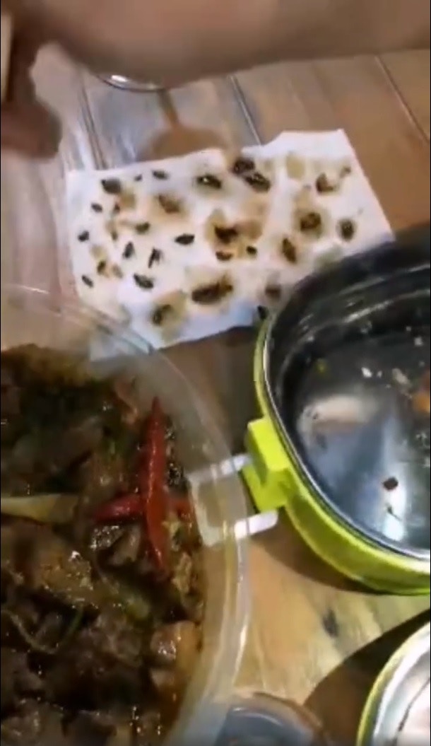 想不到從煲內挑出的曱甴數量竟越挑越多。（影片截圖）