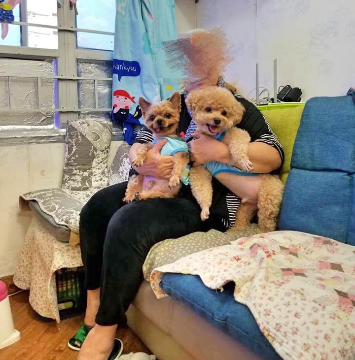 獨居的郭婆婆養有兩隻狗狗。(Facebook@阿棍屋) 獨居的郭婆婆養有兩隻狗狗。(Facebook@阿棍屋)