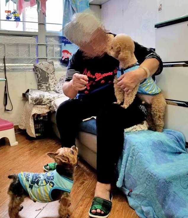 她因不放心愛犬,多次拒絕留院。(Facebook@阿棍屋) 她因不放心愛犬,多次拒絕留院。(Facebook@阿棍屋)