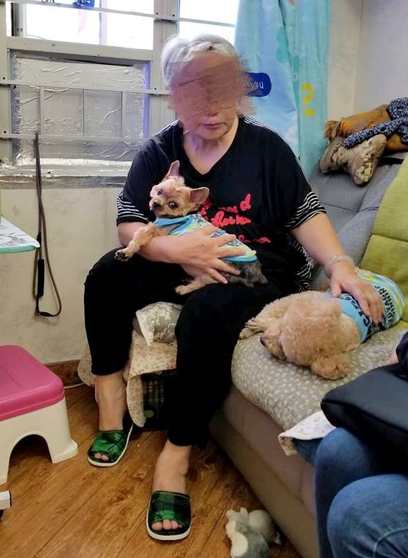 郭婆婆曾言:「屋企有兩隻狗要我照顧,我留醫咁佢哋點算?」(Facebook@阿棍屋) 郭婆婆曾言:「屋企有兩隻狗要我照顧,我留醫咁佢哋點算?」(Facebook@阿棍屋)