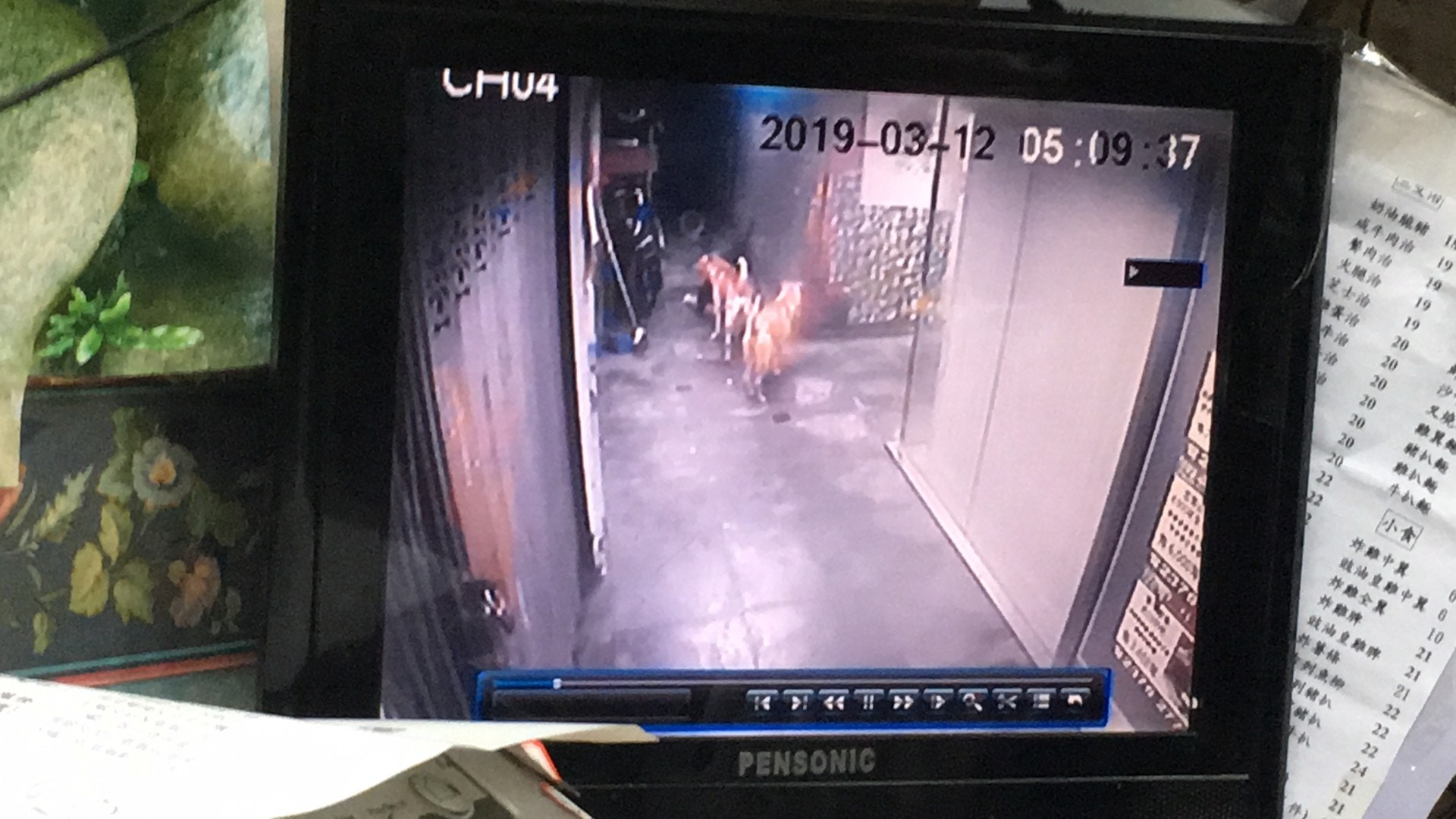 其後更將其拖行。(鄧詠中攝) 其後更將其拖行。(鄧詠中攝)