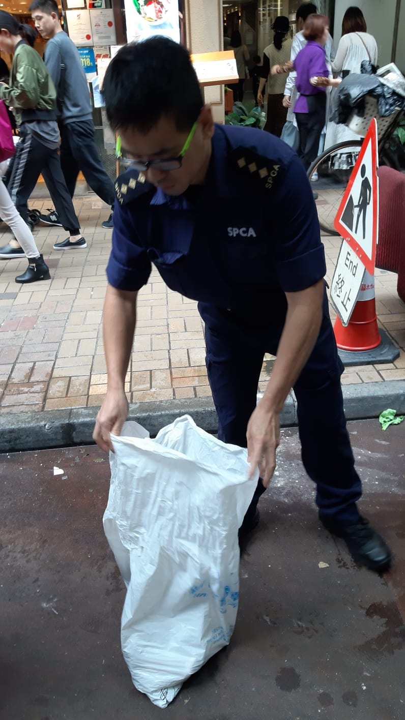 愛協人員將貓隻帶走。(讀者提供) 愛協人員將貓隻帶走。(讀者提供)