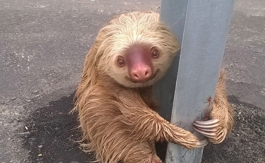 l2o8YKxbaI3YErLprH6w2zgmXeAsIa