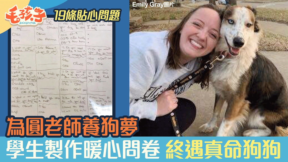 貼心學生製作問卷助老師尋理想犬隻一圓養狗夢 香港01 寵物 貼心學生製作問卷助老師尋理想犬隻一圓養狗夢 香港01 寵物