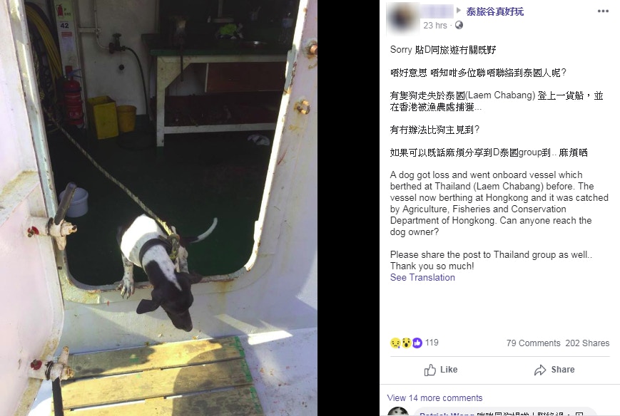 網民Keith Ha Wing Kin於網上呼籲網民將訊息廣傳希望聯絡狗主。(Facebook截圖) 網民Keith Ha Wing Kin於網上呼籲網民將訊息廣傳希望聯絡狗主。(Facebook截圖)