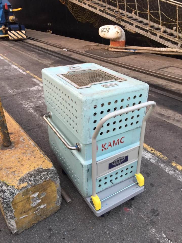 (網民Keith提供) (網民Keith提供)