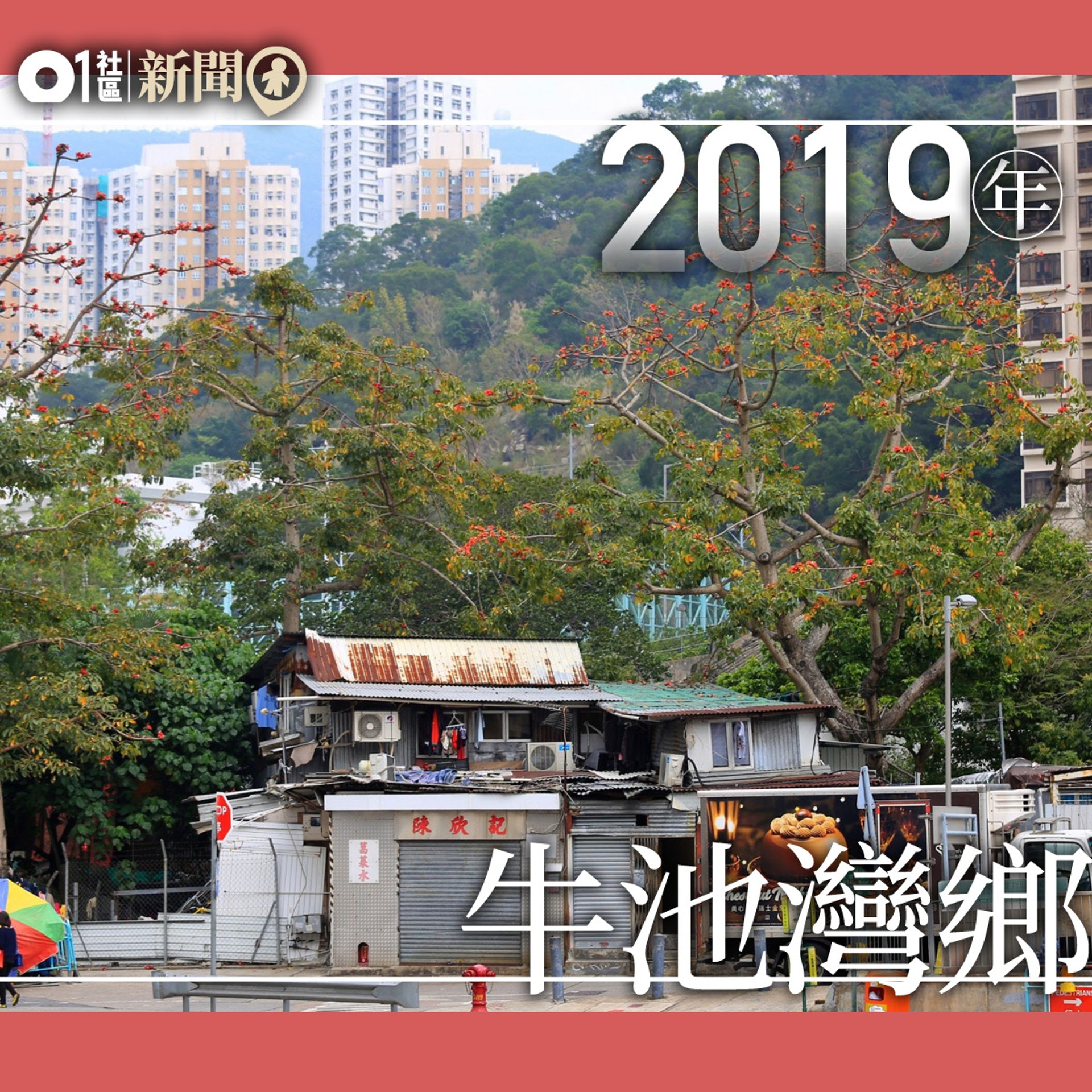 木棉變 圖輯 三年紀錄暖化削弱英雄樹林超英 無冬預測成真 木棉變 圖輯 三年紀錄暖化削弱英雄樹林超英 無冬預測成真