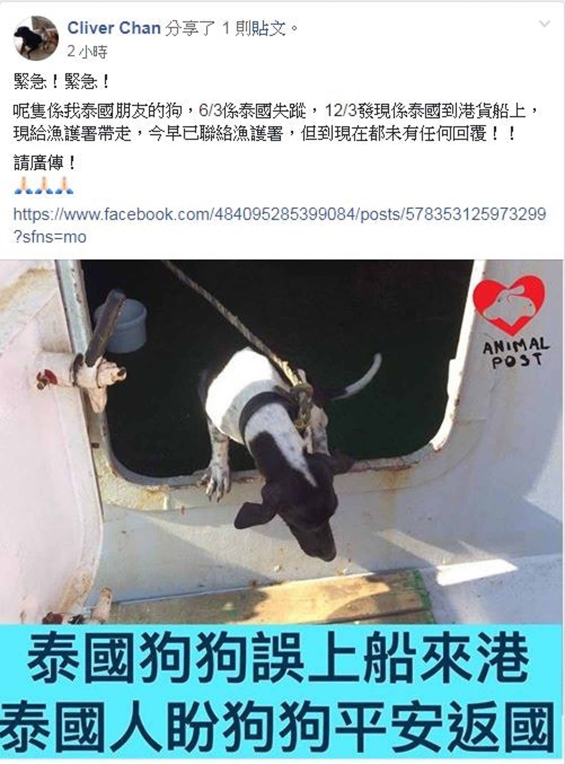有網民在Facebook聲稱是狗主的朋友。(Facebook@浪浪及失狗專屬平台 ( 香港 )) 有網民在Facebook聲稱是狗主的朋友。(Facebook@浪浪及失狗專屬平台 ( 香港 ))