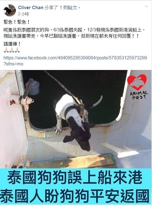 有網民在Facebook聲稱是狗主的朋友。(Facebook@浪浪及失狗專屬平台 ( 香港 )) 有網民在Facebook聲稱是狗主的朋友。(Facebook@浪浪及失狗專屬平台 ( 香港 ))