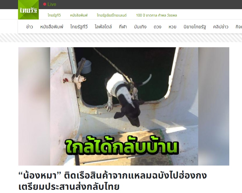 連日來均有泰國傳媒報道事件。(THAIRATH網站截圖) 連日來均有泰國傳媒報道事件。(THAIRATH網站截圖)