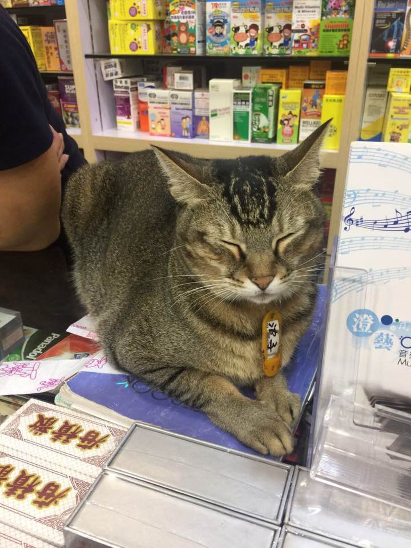 波子為觀塘安達邨藥房的「吉祥物」,深感不少街訪愛戴。(受訪者提供) 波子為觀塘安達邨藥房的「吉祥物」,深感不少街訪愛戴。(受訪者提供)